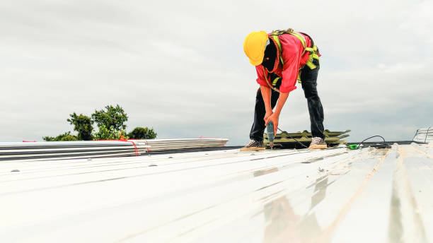 Best Roof Maintenance and Cleaning  in Calais, ME